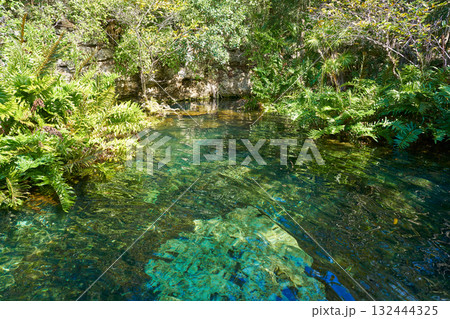Cenote in Riviera Maya of Mayan Mexico 132444325