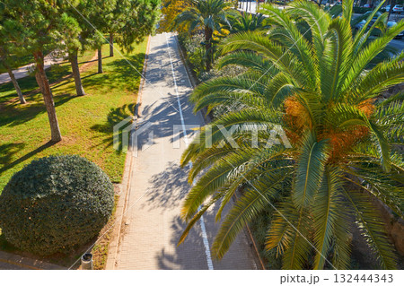 Valencia Turia park gardens view at Spain Valencia Turia park gardens view at Spain 132444343