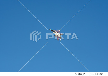 航空祭で機動飛行を披露するアグレッサー 132444848