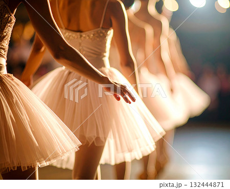 バレリーナ 132444871