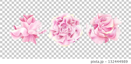 Rose buds watercolor set. Pink floral clip art. Open bud of flower. Delicate illustration isolated from background. For wedding invitation design, greeting card Women's and Valentine's Day, Stationery 132444989