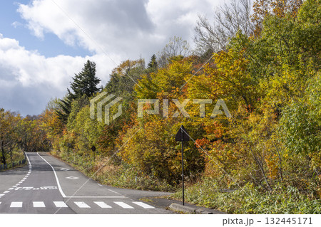 秋の磐梯吾妻スカイライン　紅葉　福島県福島市 132445171