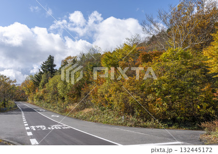 秋の磐梯吾妻スカイライン　紅葉　福島県福島市 132445172