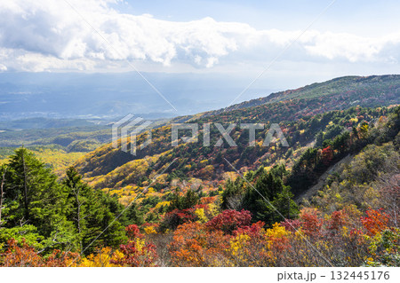 秋の磐梯吾妻スカイライン　紅葉　福島県福島市 132445176