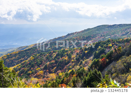 秋の磐梯吾妻スカイライン　紅葉　福島県福島市 132445178