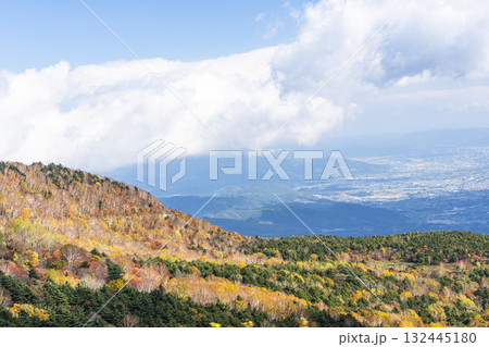 秋の磐梯吾妻スカイライン　紅葉　福島県福島市 132445180