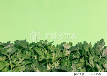 Fresh parsley leaves arranged along bottom on bright green backdrop with space above for design 132445808