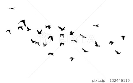 Flying birds silhouette flock. hand drawing. Not AI. Vector illustration 132446119