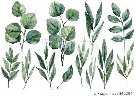 Watercolor Leaf Collection Botanical Greenery Set with Eucalyptus Foliage Branches, Natural Hand Painted Clipart for Decoration 132446294