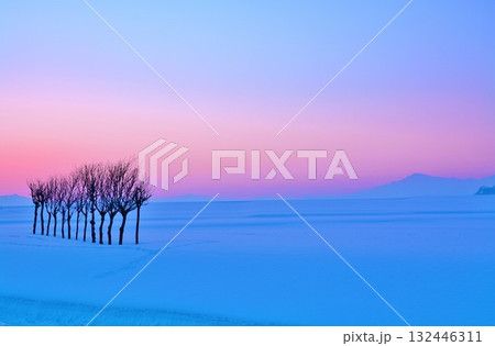 雪原のハサ木朝焼けの夜明け・越後三山冬景色 132446311