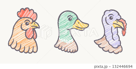 Vector set illustrations of turkey, chicken and duck heads in retro doodle style. Vintage illustrations of turkey, rooster and duck Vector set illustrations of turkey, chicken and duck heads in retro doodle style. Vintage illustrations of turkey, rooster and duck 132446694