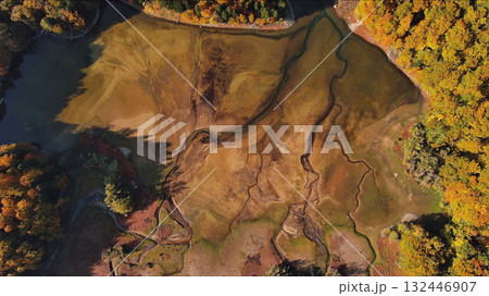 Meandering riverbed and forest of autumn trees nature landscape 132446907
