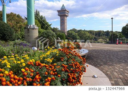 相模原麻溝公園 132447966