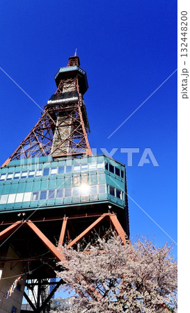 北海道札幌市のさっぽろテレビ塔と桜 132448200