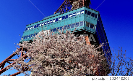 北海道札幌市のさっぽろテレビ塔と桜 132448202
