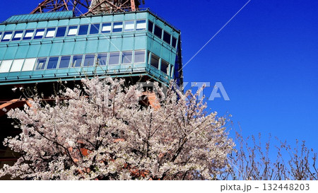 北海道札幌市のさっぽろテレビ塔と桜 132448203
