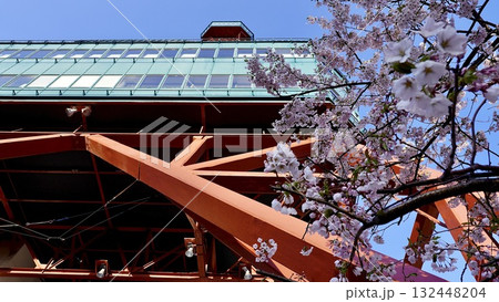 北海道札幌市のさっぽろテレビ塔と桜 132448204
