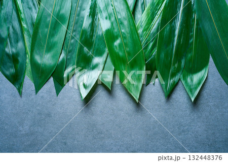 Bamboo leaves in a row on gray Bamboo leaves in a row on gray 132448376