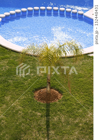 round blue swimming pool palm tree garden round blue swimming pool palm tree garden 132448431