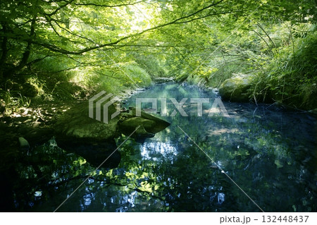 Beech forest trees with river flow under 132448437