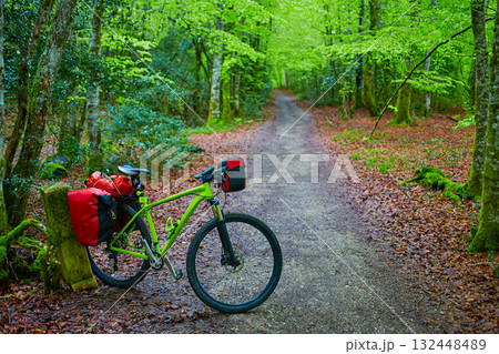 Roncesvalles beech begin Way of Sain James bike Roncesvalles beech begin Way of Sain James bike 132448489