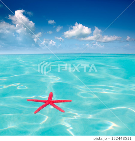 Red starfish floating on perfect tropical sea 132448511