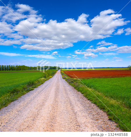 The way of saint James neverending at Palencia The way of saint James neverending at Palencia 132448588