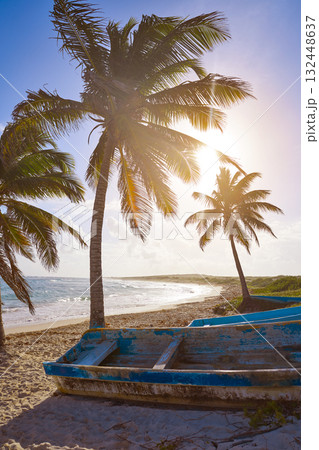Chen Rio beach Cozumel island in Mexico Chen Rio beach Cozumel island in Mexico 132448637