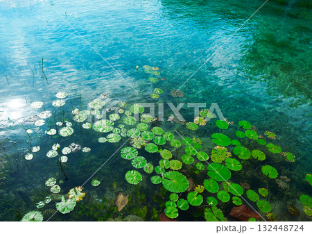 Laguna de Bacalar Lagoon in Mayan Mexico 132448724