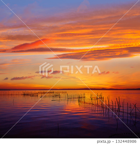La Albufera lake sunset in El Saler of Valencia La Albufera lake sunset in El Saler of Valencia 132448986