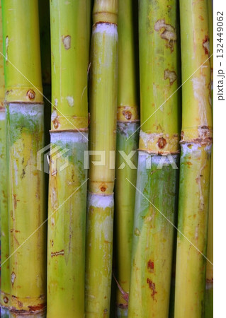 bamboo cane food sugar green trunks 132449062