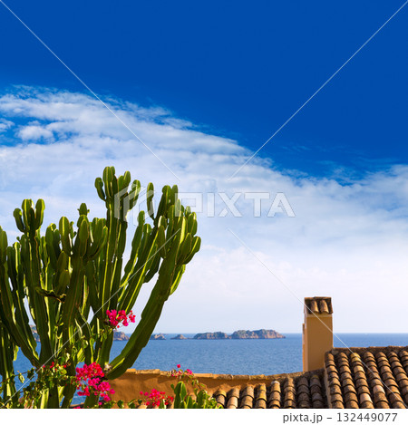 Majorca Cala Fornells beach Paguera Peguera Majorca Cala Fornells beach Paguera Peguera 132449077