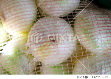 onion view from sack net in market 132449256
