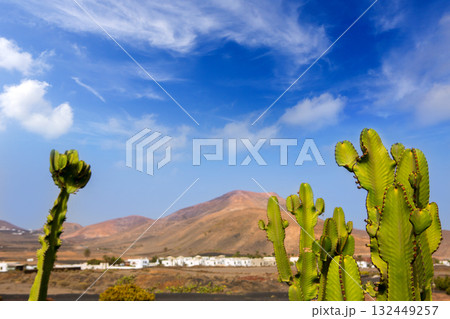 Lanzarote Yaiza with cactus and mountains 132449257