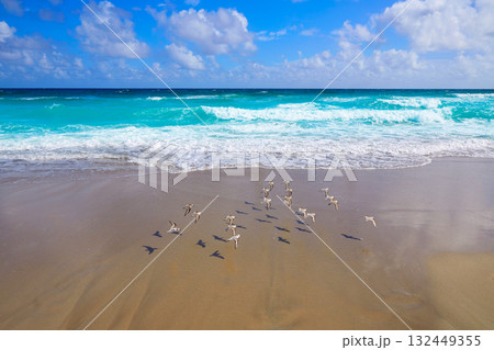 Palm Beach beach coastline Florida US 132449355