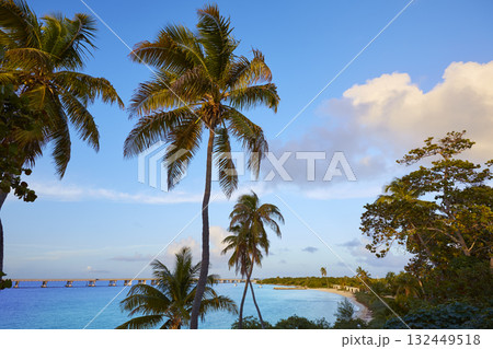 Florida Keys beach Bahia Honda Park US Florida Keys beach Bahia Honda Park US 132449518