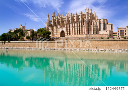 Majorca La seu Cathedral and Almudaina from Palma 132449875