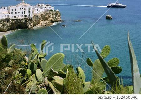 Ibiza view with nice Mediterranean sea Ibiza view with nice Mediterranean sea 132450040