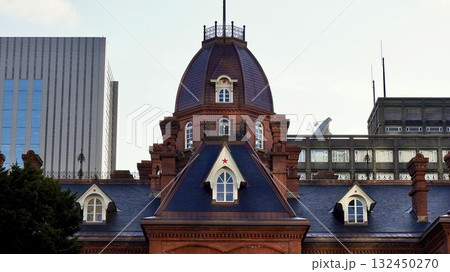 北海道札幌市の赤れんが庁舎（北海道庁旧本庁舎） 132450270