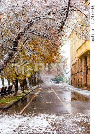 uzhhorod, ukraine - 29 nov 2020: linden alley in autumn first snowfall. leaves and snow cover wet street. trees in colorful foliage. empty benches on the embankment. beautiful urban landscape 132450466