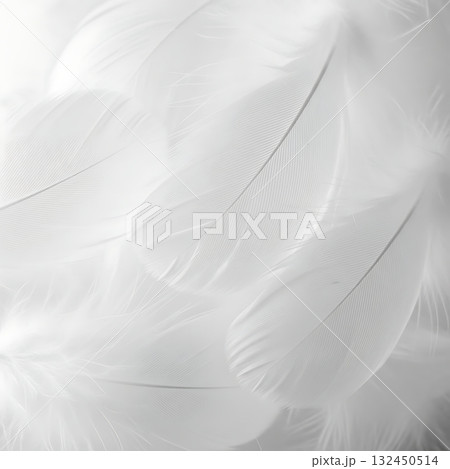 Soft delicate white feathers creating a gentle airy abstract background with subtle texture and light Soft delicate white feathers creating a gentle airy abstract background with subtle texture and light 132450514