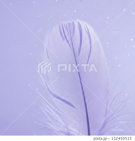Delicate lavender feather floats gracefully against a soft, ethereal background with shimmering bokeh lights, evoking feelings of lightness and peace. Delicate lavender feather floats gracefully against a soft, ethereal background with shimmering bokeh lights, evoking feelings of lightness and peace. 132450515