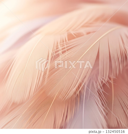 Delicate peach and white feathers softly layered, creating a serene, airy backdrop perfect for elegant designs or tranquil moods. Delicate peach and white feathers softly layered, creating a serene, airy backdrop perfect for elegant designs or tranquil moods. 132450516