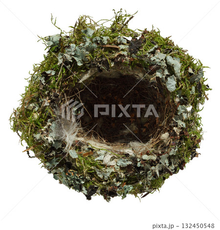 Green, authentic bird nest made of moss, feathers and grass, isolated on white background 132450548