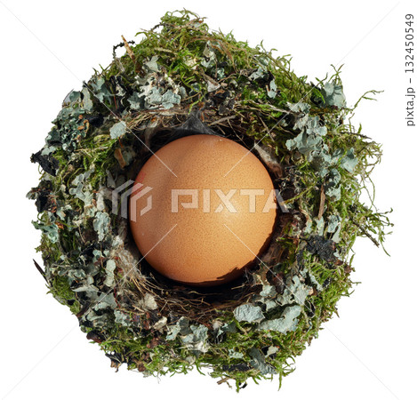 A chicken egg nestled in a bird's nest, isolated on white background A chicken egg nestled in a bird's nest, isolated on white background 132450549