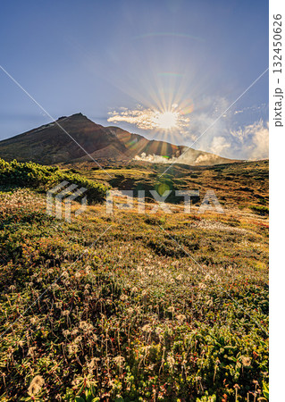 旭岳に染まる秋の草原 ― 朝の光が包む高山風景 132450626