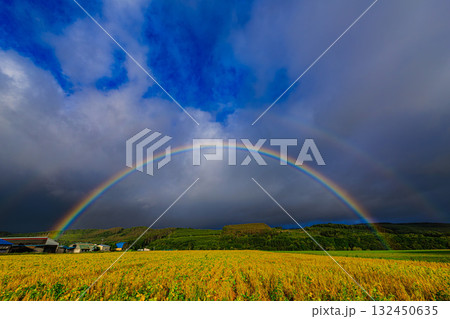 雨上がりの祝福 ― 北海道の空に現れた虹 雨上がりの祝福 ― 北海道の空に現れた虹 132450635