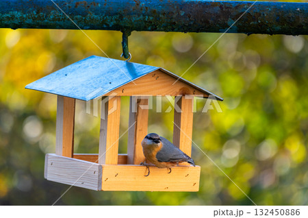Bird feeder shaped like a small house with a Eurasian nuthatch (Sitta europaea) eating sunflower seeds, set against a soft autumn-colored background. 132450886