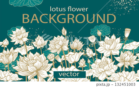Lotus Flower Template, Botanical Vector Background Lotus Flower Template, Botanical Vector Background 132451003