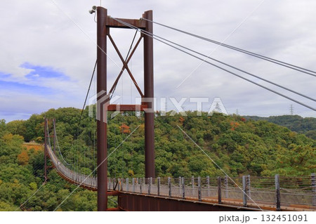 星のブランコ 132451091